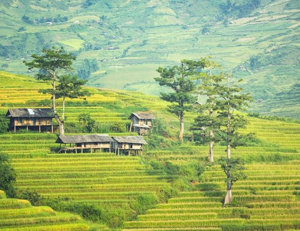 Lagi Ngehits Tempat Wisata Di Batu Malang Yang Instagramable  Dan Keren 