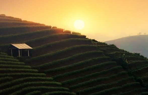 Harga Tiket Masuk Dan Rute Menuju Terasering Panyaweuyan Majalengka