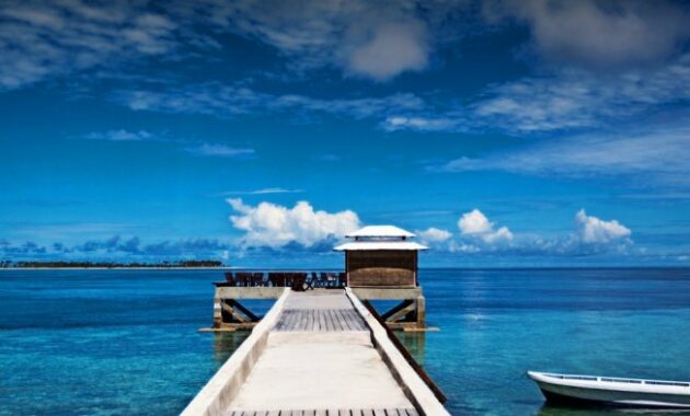 Daya Tarik Wisata Wakatobi, Kegiatan Wajib Saat Berkunjung ke Wakatobi Sulawesi Tenggara